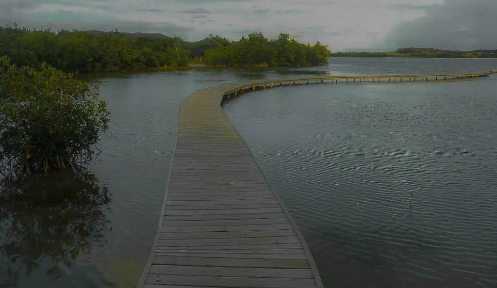 Holidays In Martinique - Ravenala Sainte-Anne