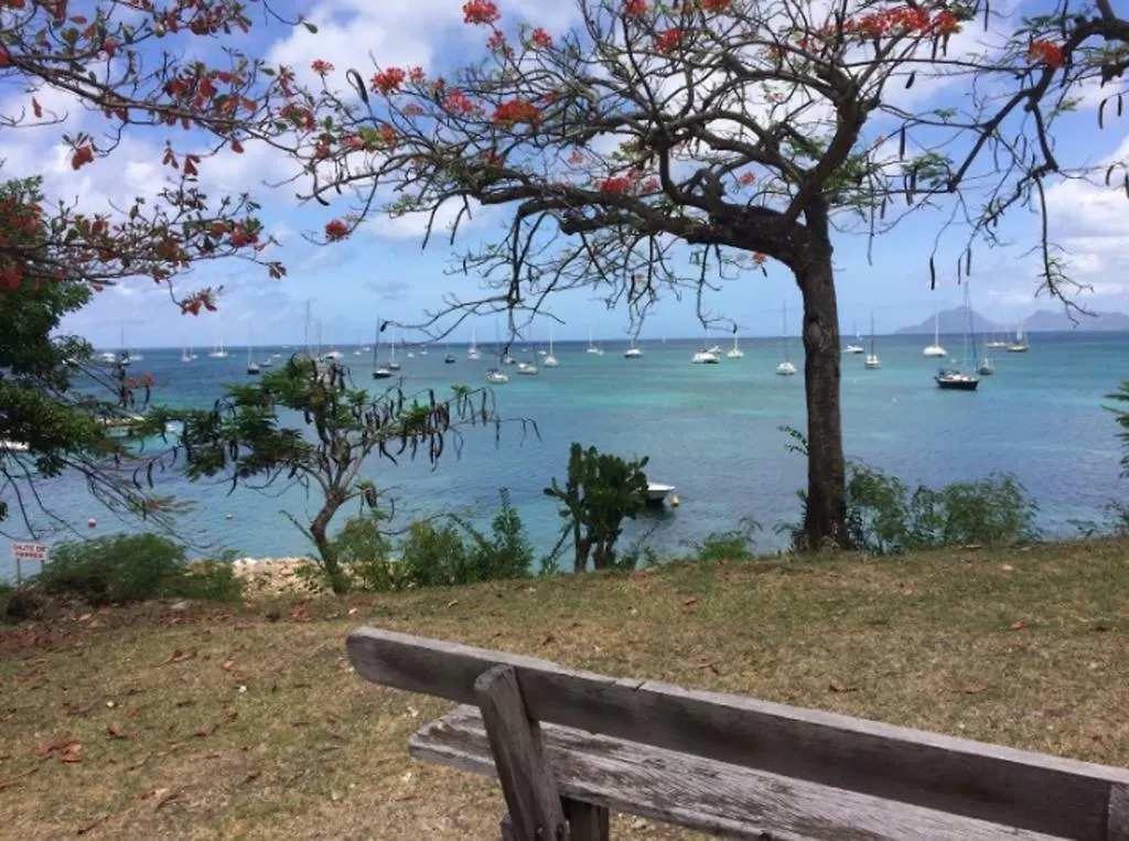 Appartement Holidays in Martinique - Ravenala Sainte-Anne Martinique